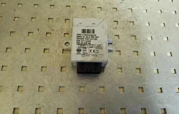 BMW X5 E53 Immobilizer control unit/module 61356905667