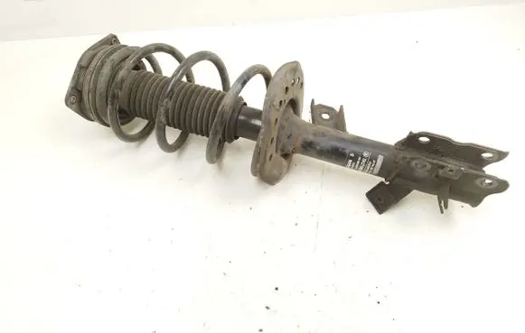 Nissan Qashqai Front shock absorber with coil spring 53303JD01A 824903002934