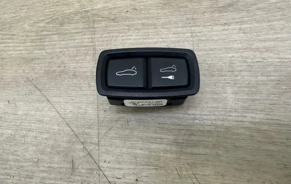 Porsche Cayenne (9Y0 9Y3) Tailgate/boot open switch button 971959832C 971959832C6N3
