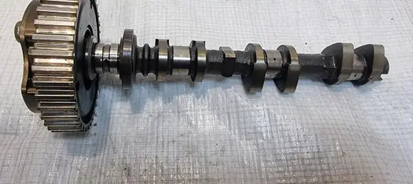 Ford Focus Timing chain sprocket CM5G