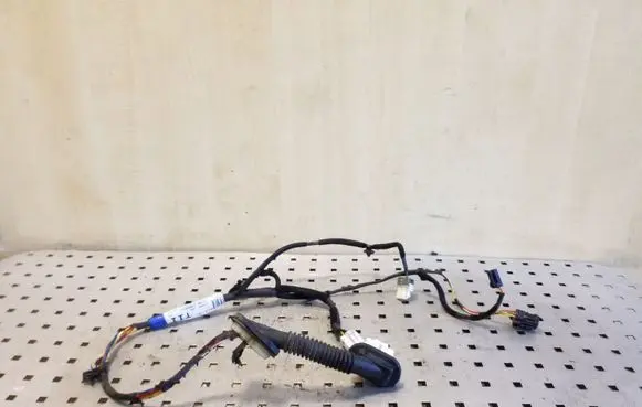 KIA Sorento Rear door wiring loom 918203E011