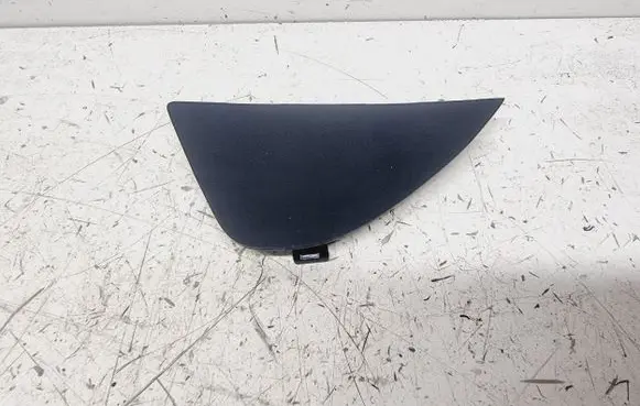 Other rear door trim element
