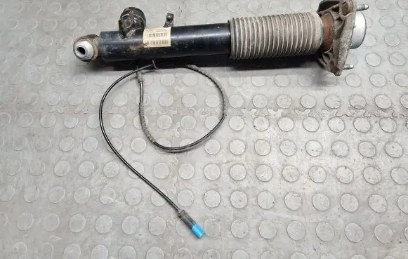 Rear shock absorber/damper