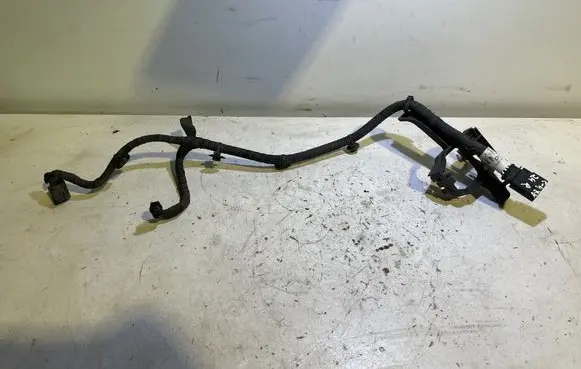 Citroen C4 X Other wiring loom 9841384680