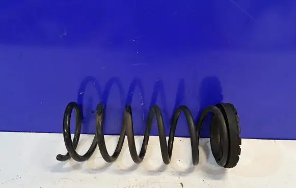Rear coil spring