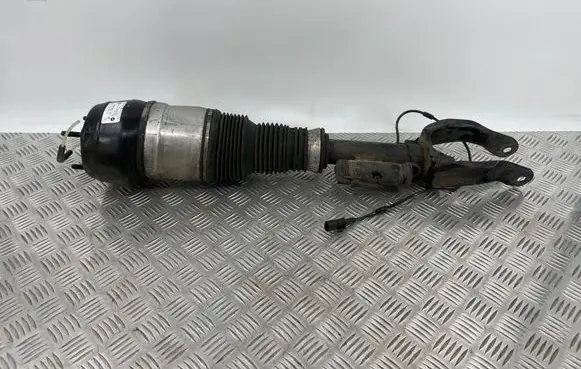 Mercedes-Benz GL X166 Front shock absorber/damper A1663204666 0009513912