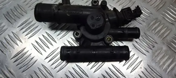 Thermostat/thermostat housing