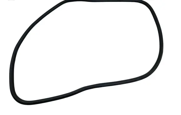 Ford Edge II Front door rubber seal 0104401
