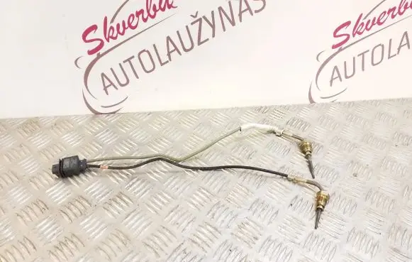 Skoda Kamiq Exhaust gas temperature sensor 05E919519J 273123003563