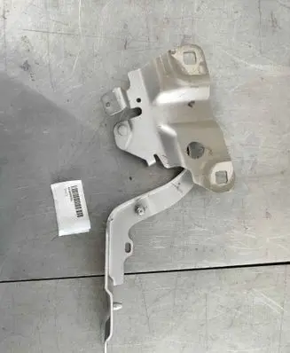 Renault Zoe Engine bonnet/hood hinges 654009955R