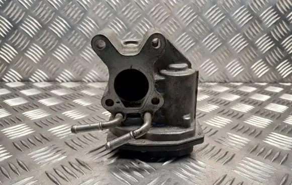 EGR valve