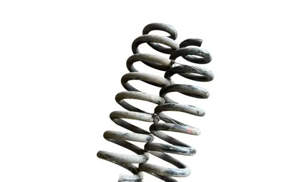 Rear coil spring