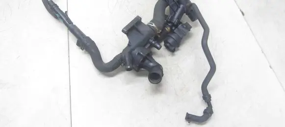 Thermostat/thermostat housing