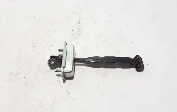 Renault Kangoo III Front door check strap stopper 804309303R