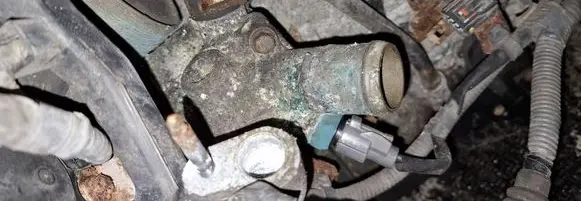 Honda FR-V Engine coolant pipe/hose 