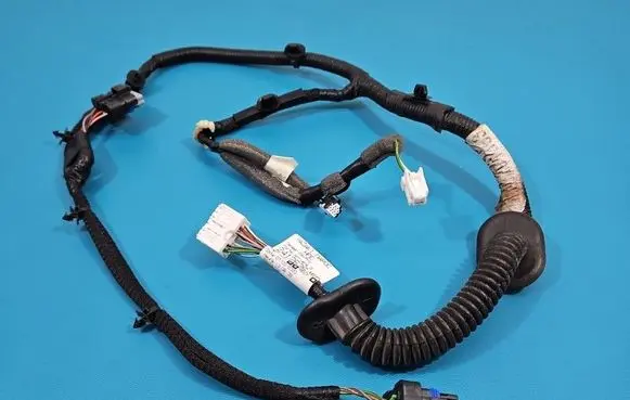 Rear door wiring loom