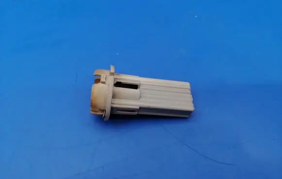 Tail light bulb cover holder