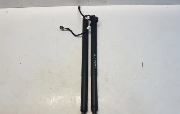 Tailgate strut