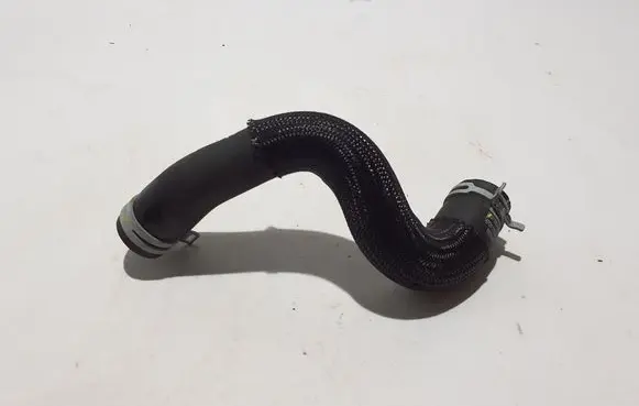 Renault Clio V Engine coolant pipe/hose 215030232R