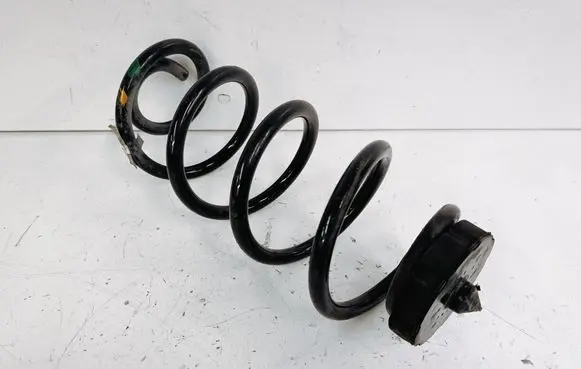 Rear coil spring