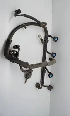 Honda Accord Fuel injector wires 
