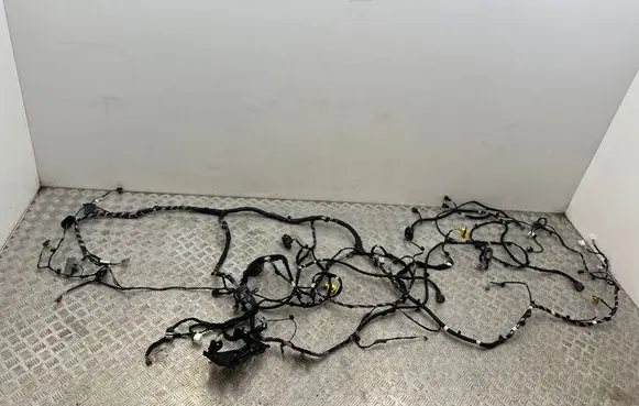 Renault Megane IV Other wiring loom 241634592S