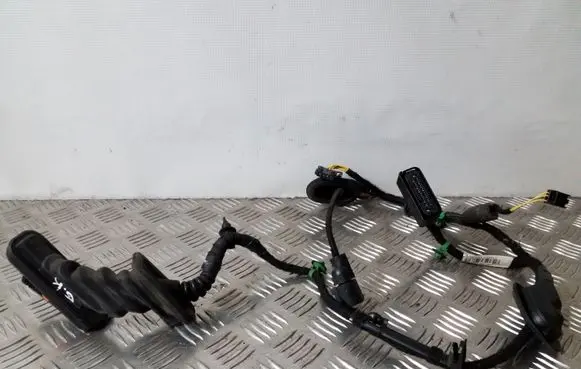 Volkswagen Touran II Rear door wiring loom 1T0971693EG