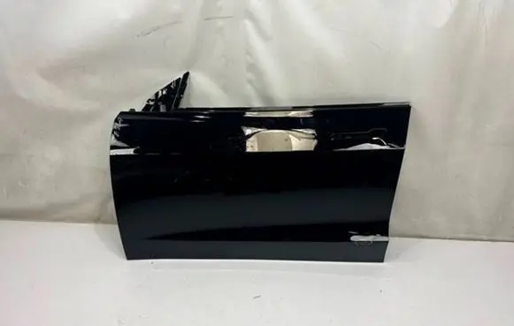 Tesla Model 3 Front door