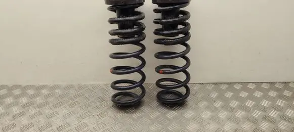 Ford Transit - Tourneo Connect Rear coil spring 1808626