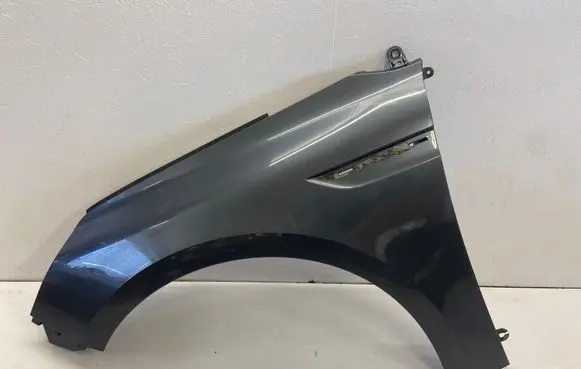 Renault Megane IV Fender 631016669R