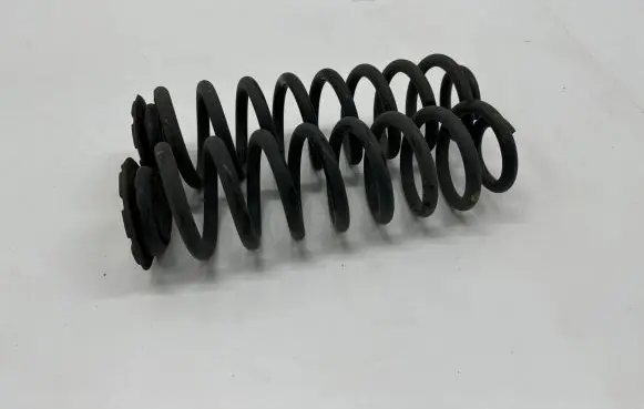 Dacia Spring Rear coil spring 550200356R