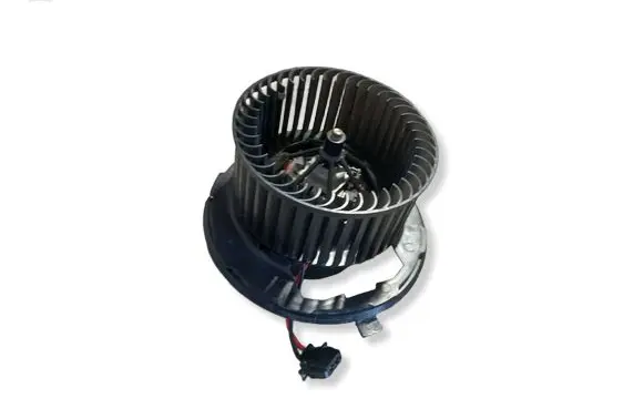Volkswagen Golf Plus Heater fan/blower DDW010TT TH849O10