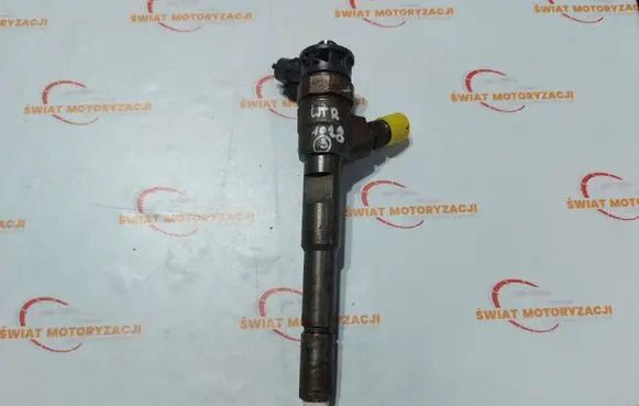 Renault Clio III Fuel injector 0445110652