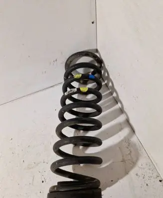 Rear coil spring