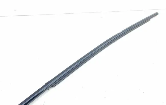 Ford Mustang Mach-E Rear door glass trim molding LJ8BR20562
