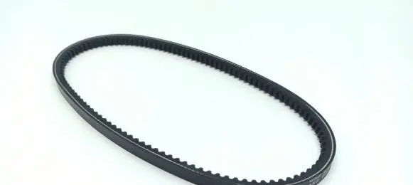 Ligier OptiMax Alternator belt 2440305 1010375