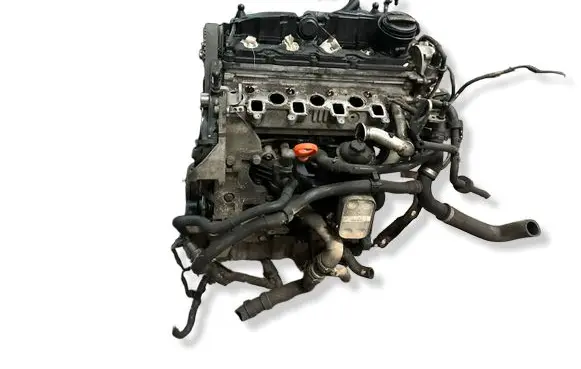 Volkswagen Golf VI Engine CAY