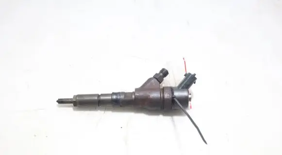Peugeot Boxer Fuel injector 0445110076