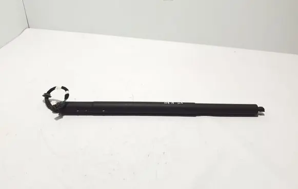 Tailgate strut