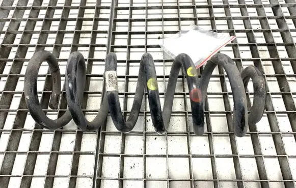 KIA Sportage Rear coil spring 