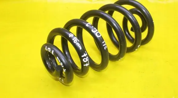 Rear coil spring