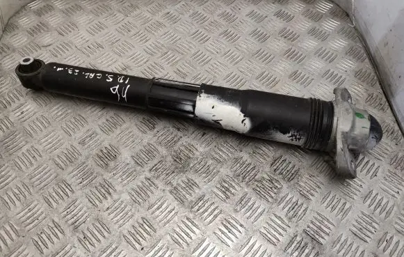 Volkswagen ID.5 Rear shock absorber/damper 1EA512013BD