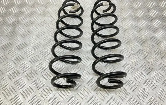 Rear coil spring