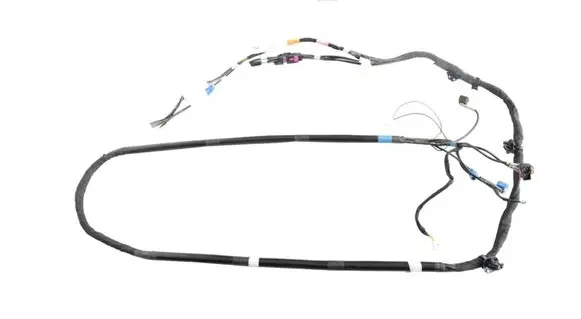 Tesla Model Y Other wiring loom 161669100C