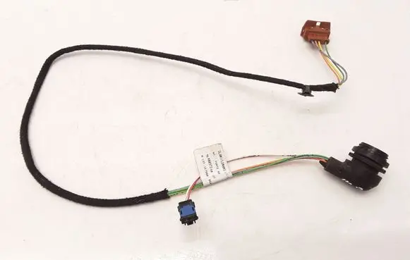 Rear door wiring loom