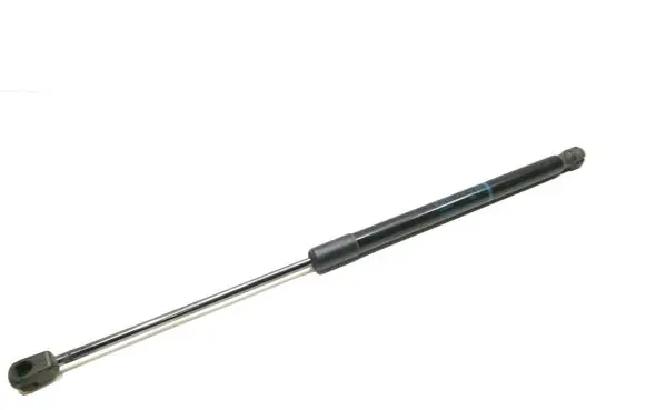 Tailgate strut