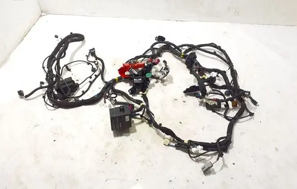 Renault Austral Other wiring loom 403885058R