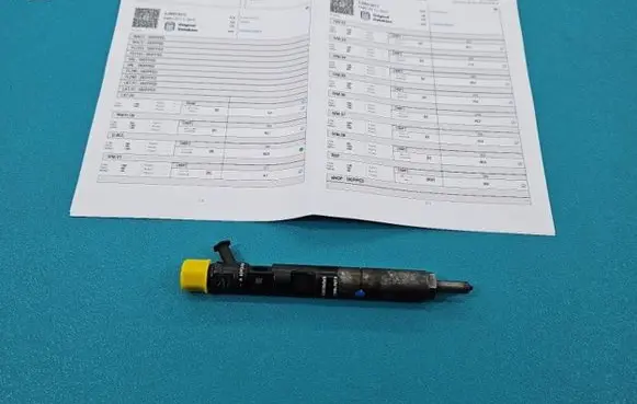 Renault Megane II Fuel injector EJBR01801Z IMPRK1439401