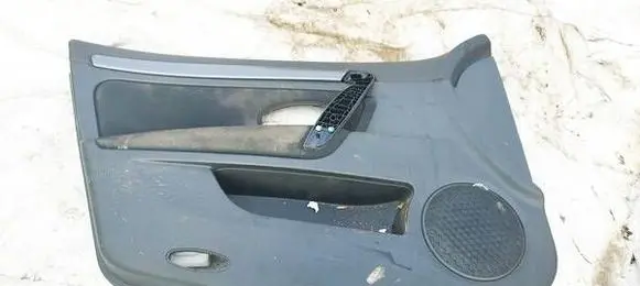 Renault Laguna III Front door card panel trim 809010416R