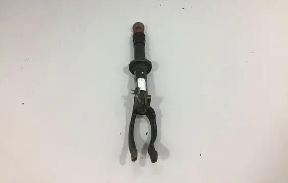 BMW X5 E70 Front shock absorber/damper 6783016